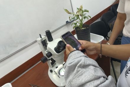 Semana de la Ciencia Edición 2024